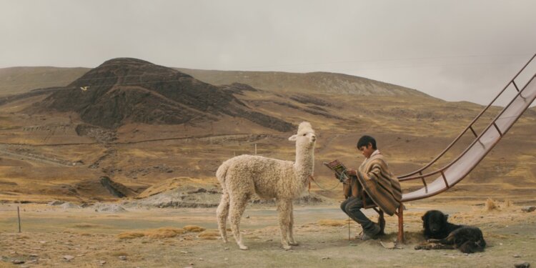 Vuelven los Cineforos de AricaDoc 2025: Este viernes 20 se  exhibirá película “Raíz”