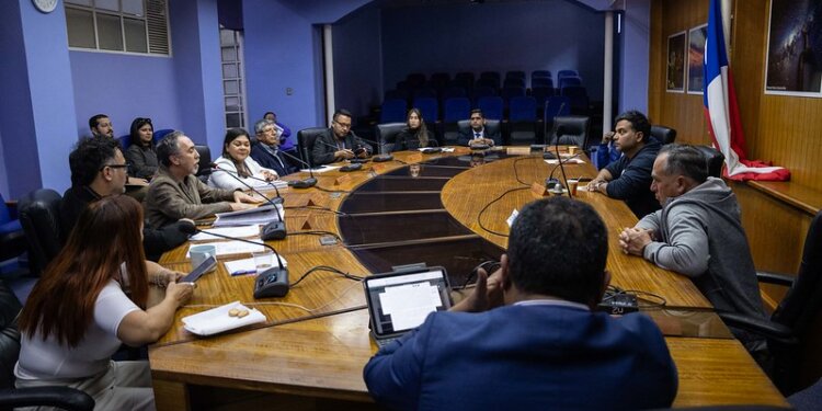 Importantes acuerdos en Comisión Carnaval apuntan a profesionalizar el Carnaval más lindo de Chile