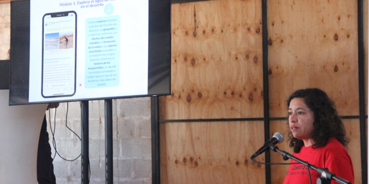 Agroniebla: Lanzan aplicación digital para que agricultores puedan aprovechar el agua de la camanchaca en pleno desierto