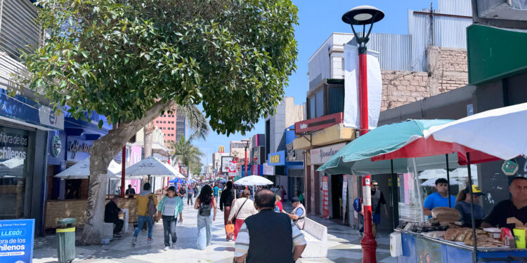 Ocupación laboral en Arica y Parinacota crece en 5.254 personas y la tasa de desempleo baja a 6,6%