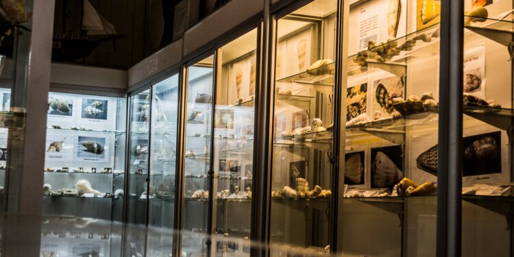 CONOCE TODAS LOS LUEGARES QUE ABRIRÁN EN ARICA DRUANTE LA NOCHE DE MUSEOS 2025
