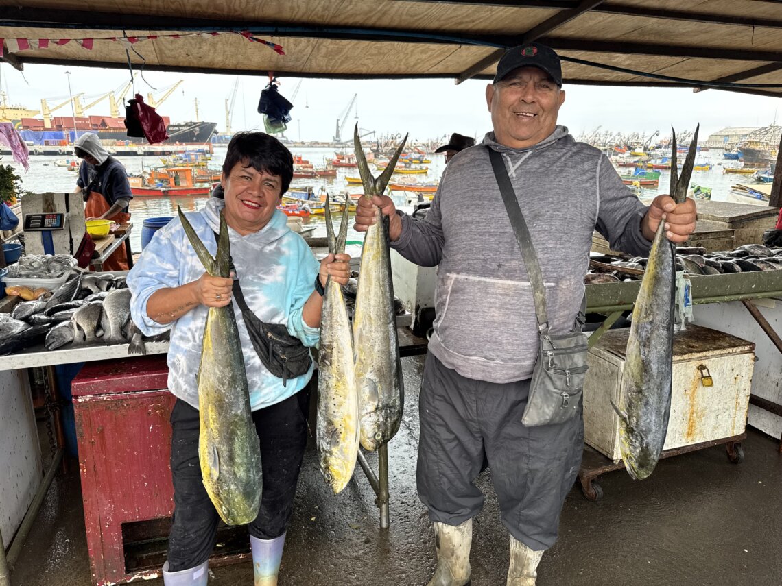 Comenzó la temporada de la palometa en Arica: alegría para pescadores y familias ariqueñas
