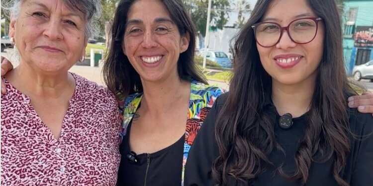 Emprendedoras de Arica impulsan plataforma digital para dictar  talleres y comercializar productos locales