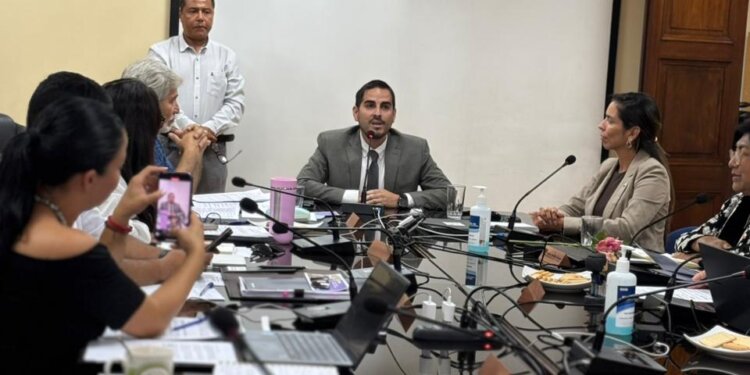 CORE APRUEBA REPOSICIÓN DE VEHÍCULO PARA RESIDENCIA DEL SERVICIO DE PROTECCIÓN