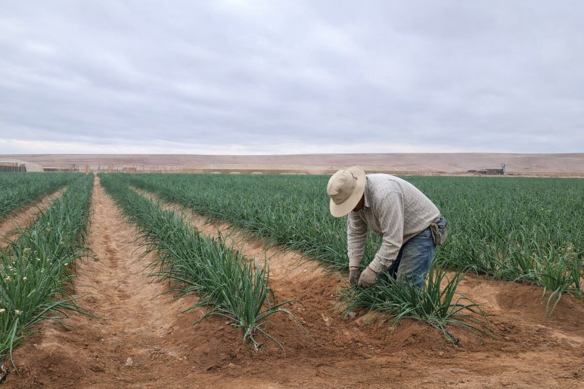 Seminario sobre soluciones sostenibles en el desierto convoca al sector agrícola de la región
