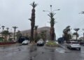 Morro de Arica lunes 17 de agosto