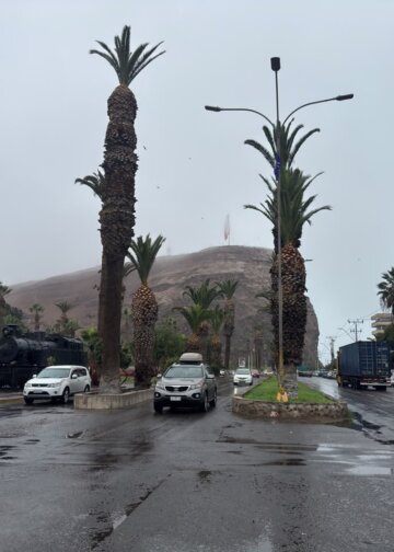 Morro de Arica lunes 17 de agosto